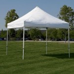 party canopy tents