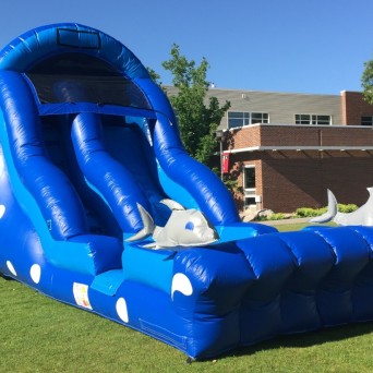 18′ Dolphin Dive Water Slide
