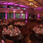 light rental