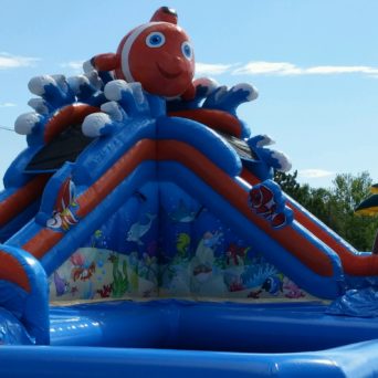 Under the Sea Adventure